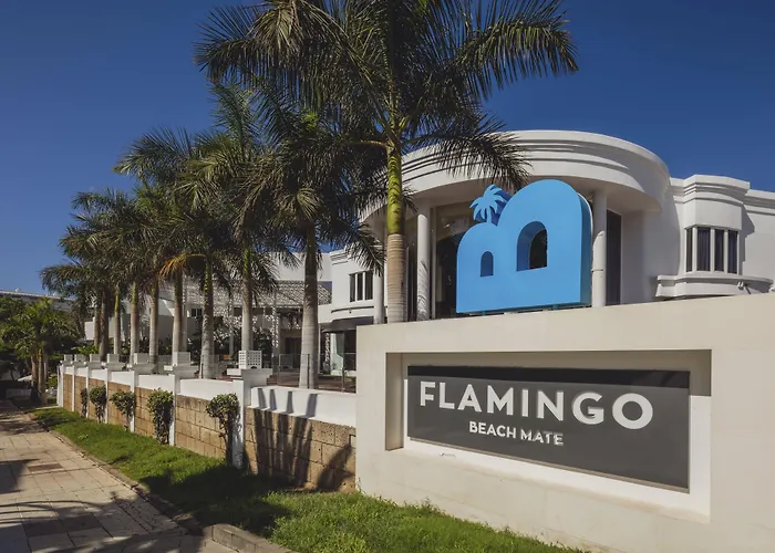 Flamingo Mate Costa Adeje (Tenerife)