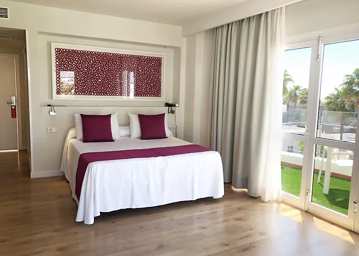 Flamingo Mate Costa Adeje (Tenerife)