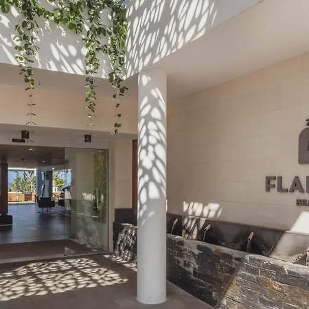 فندق Flamingo Mate 4*