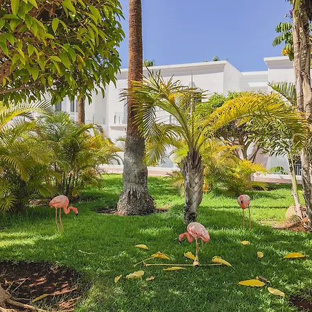 Flamingo Mate فندق