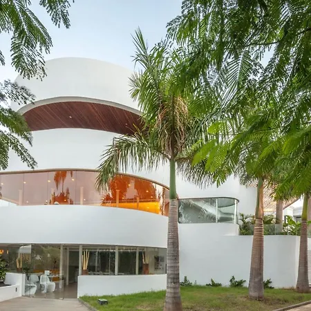 Flamingo Mate Costa Adeje (Tenerife)