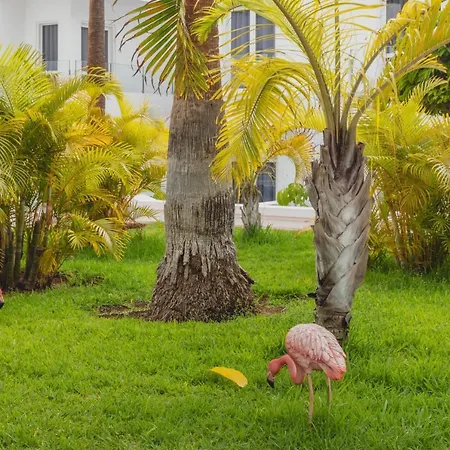 Flamingo Mate