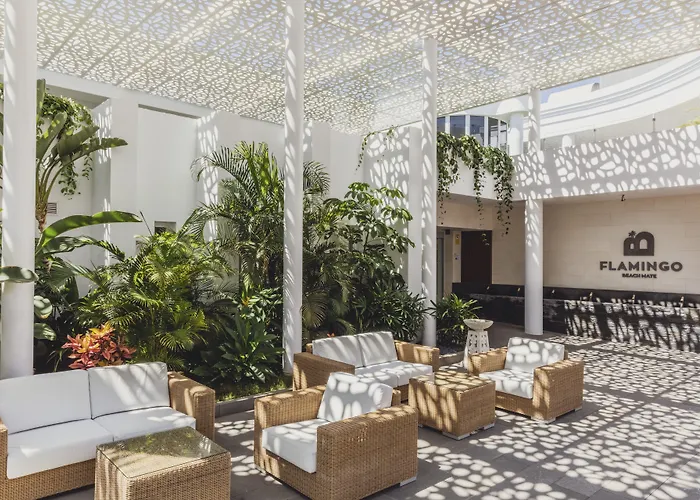 Flamingo Mate 4*