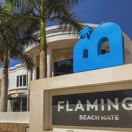 ホテル Flamingo Mate 4*