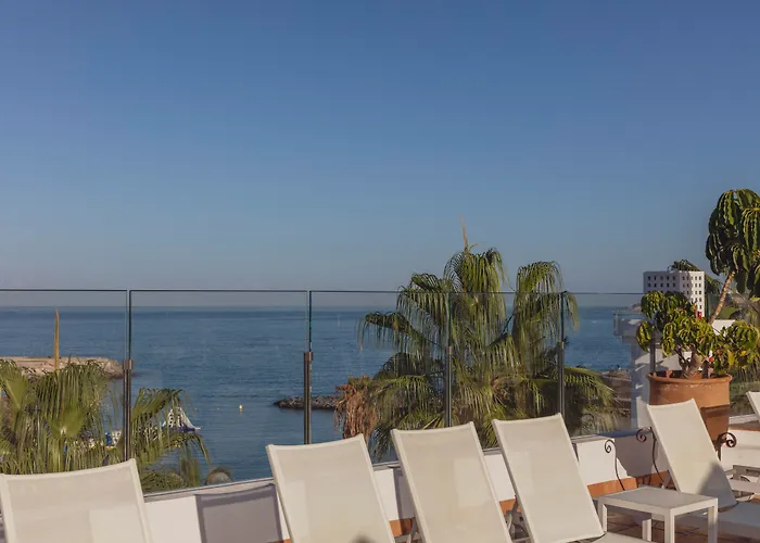 Flamingo Mate Costa Adeje (Tenerife)